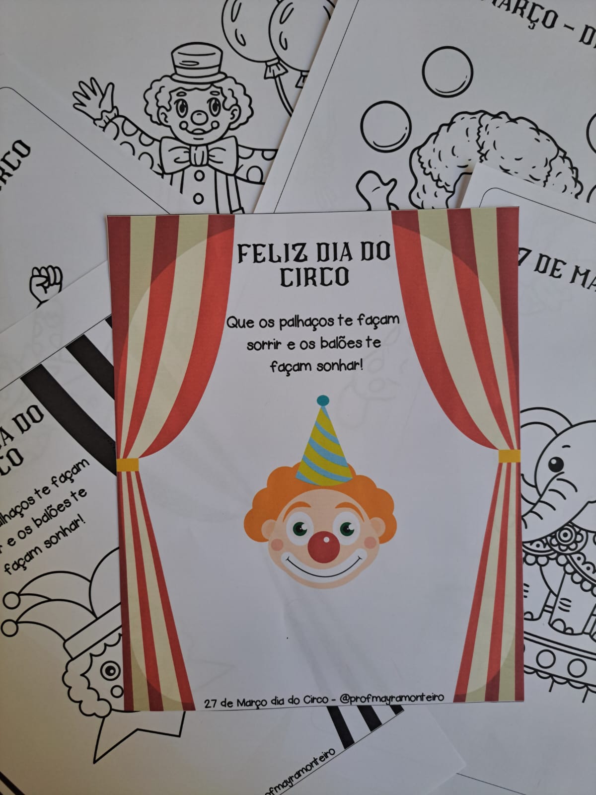 Dia Do Circo Professora Mayra